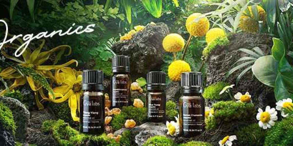 Exploring Pure Bliss: GyaLabs Organic Essential Oils for Diffusers