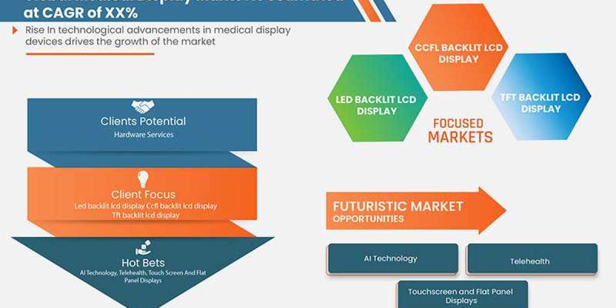 Medical Display Market Size, Share, Demand, Future Growth, Challenges and Competitive Outlook Report