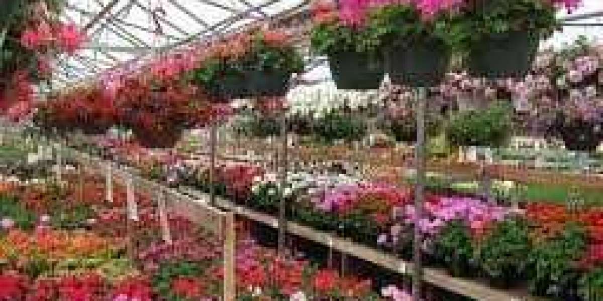 Exploring the Local Landscape Nursery: Where Your Scenic Dreams Come to Life