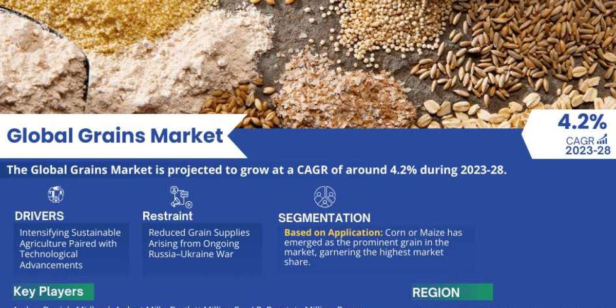 Grains Market Size, Business Opportunity and Future Demand by 2028 | MarkNtel Advisors