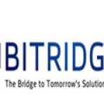 Bitridge LLC Profile Picture