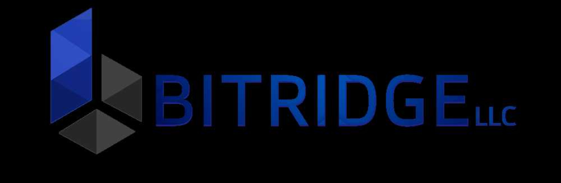 Bitridge LLC Cover Image