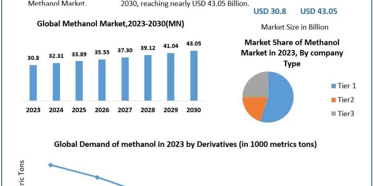 Methanol Market Competitive Landscape, Production Report Analysis to 2030