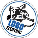 Lobo ConsultingInc Profile Picture