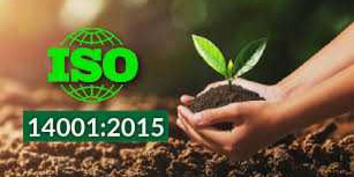 ISO 14001:2015 Lead Auditor Course 1