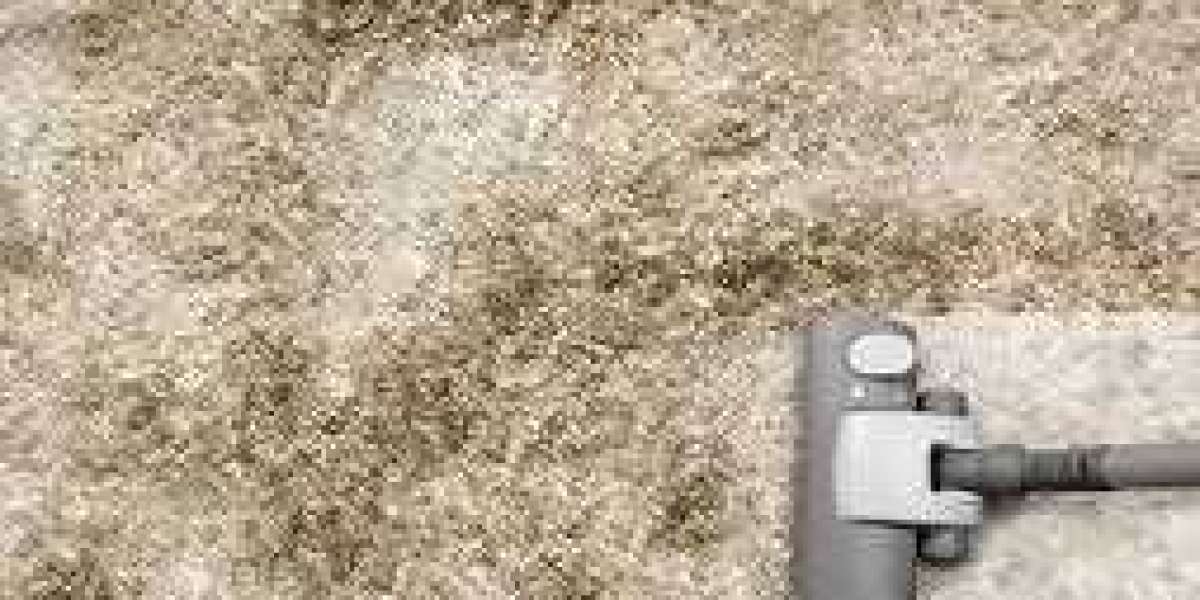 Underfoot Hygiene: Understanding the Necessity of Carpet Cleaning