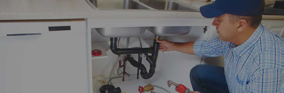 RAY Z Plumbing Cover Image