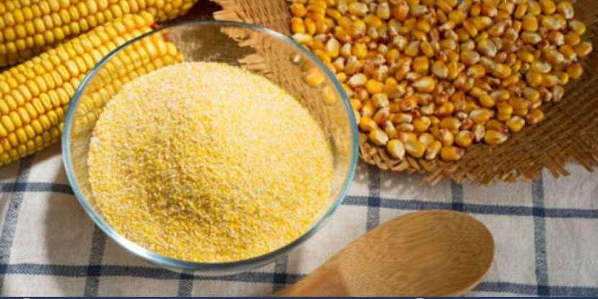 Corn Bran Market Size, Share, Trends and Report 2024-2032