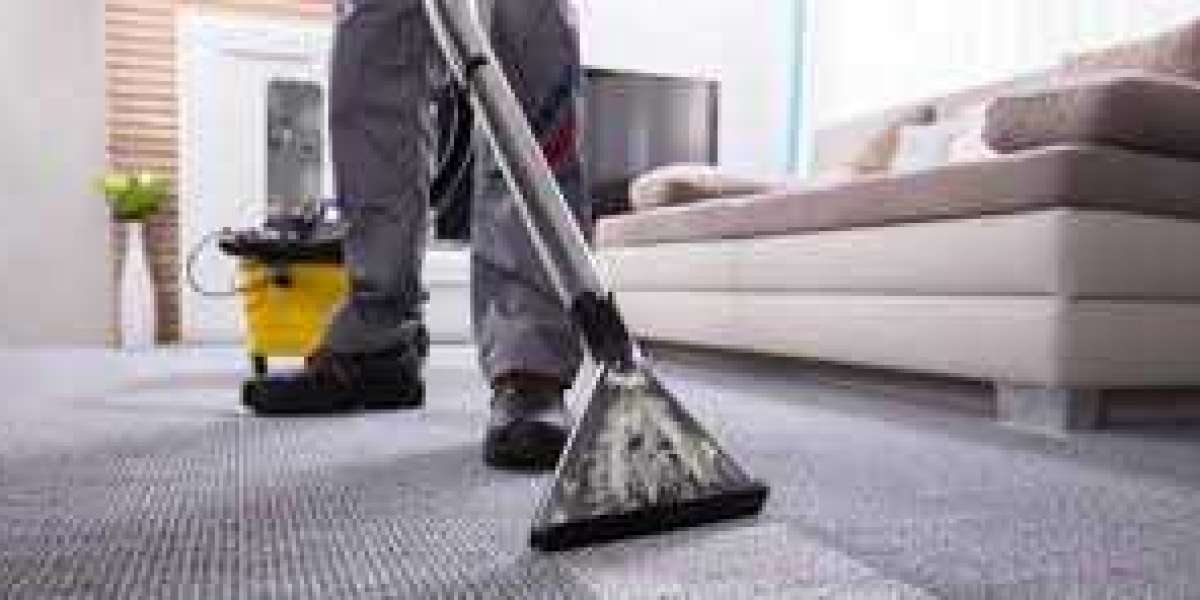 Why Regular Carpet Cleaning Services is Your Best Defense