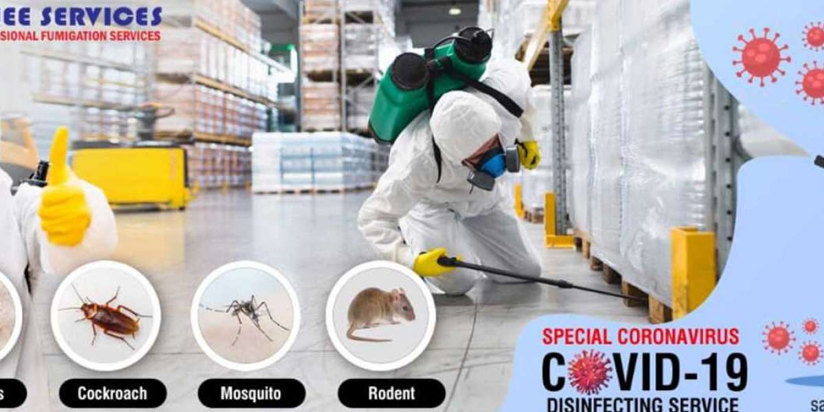 Pest Control Karachi: Ensuring a Safe and Pest-Free Environment