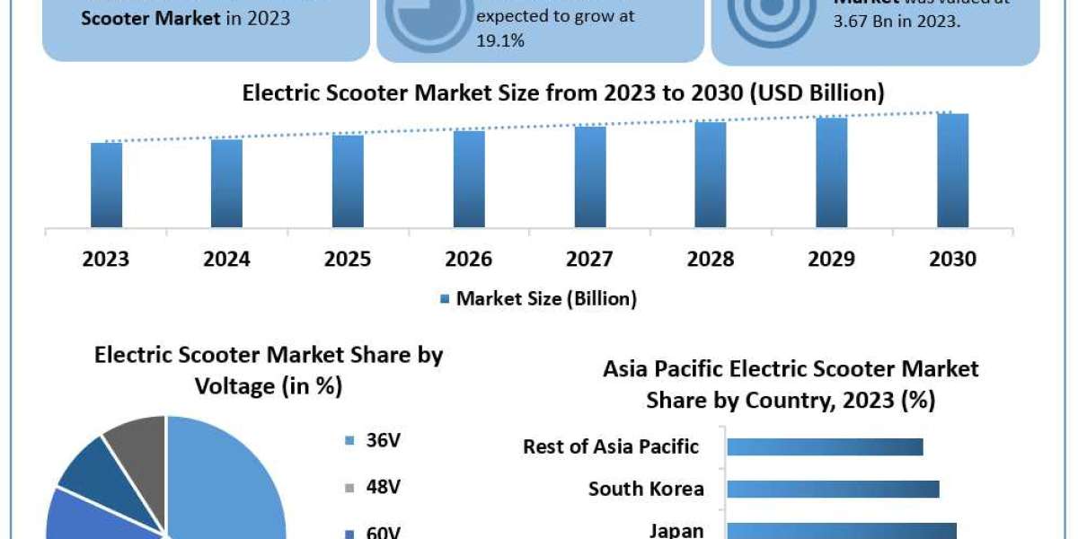 Electric Scooter Market Trends, Size, Share, Growth Opportunities, and Emerging Technologies 2030