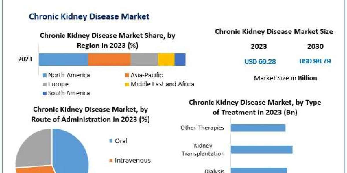 Chronic Kidney Disease Market 2024-2030 Comprehensive Overview of Innovations