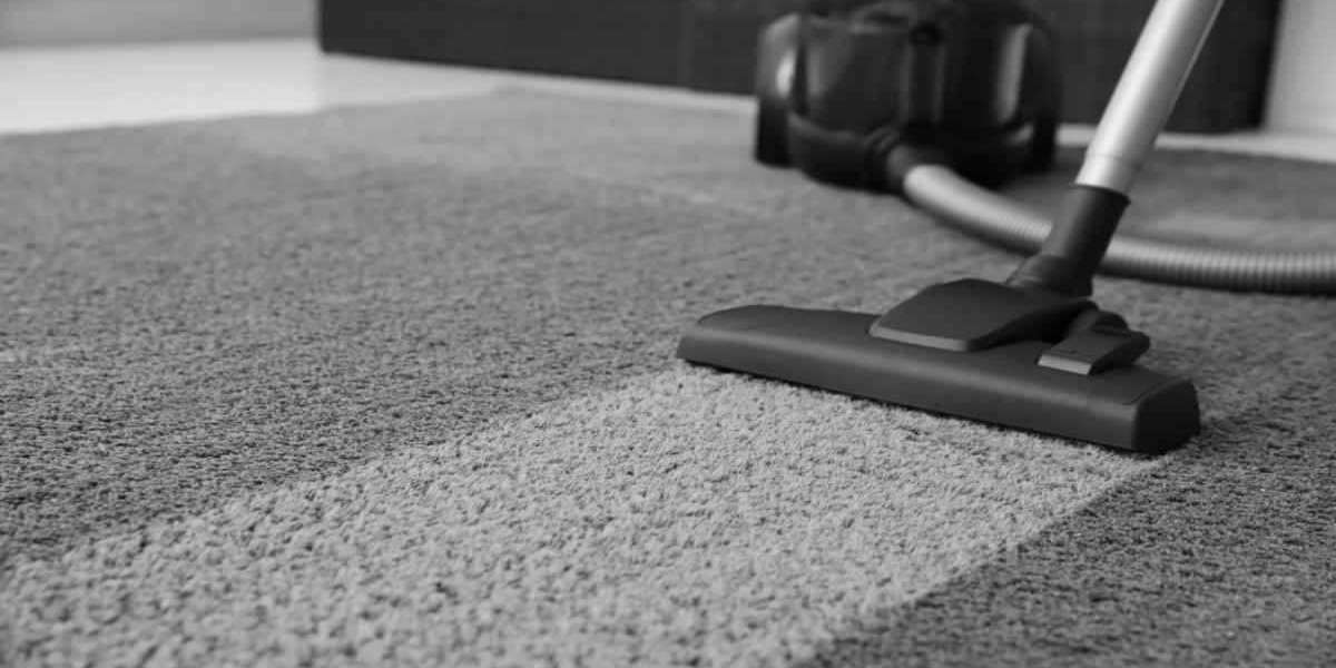 Elevate Your Home’s Cleanliness with Professional Carpet Cleaning Solutions