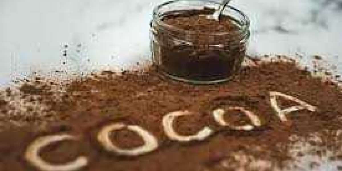 Chhattisgarh's Emerging Cocoa Powder Manufacturing Industry: A New Frontier in Food Processing