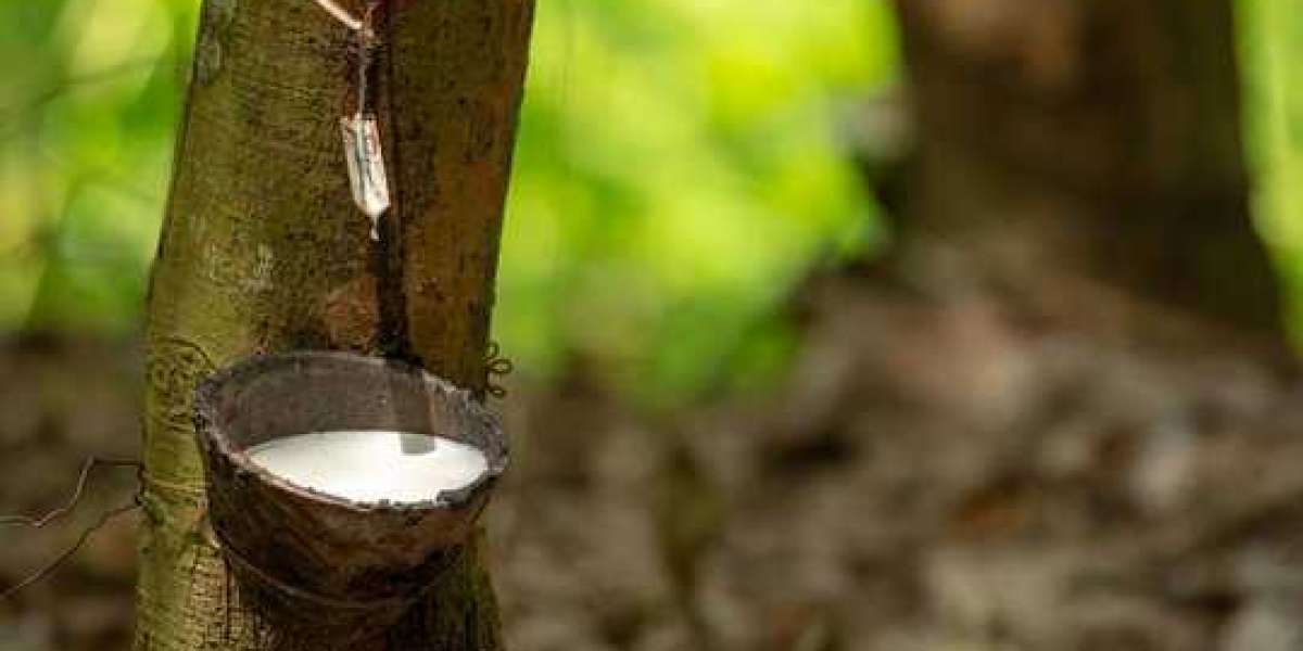 Report on Cost Requirements for Setting Up a Natural Rubber Manufacturing Plant