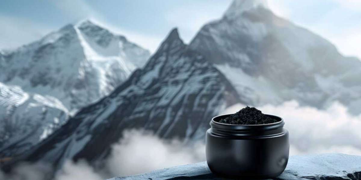 How Purely Natural Shilajit Supports Healthy Aging and Longevity