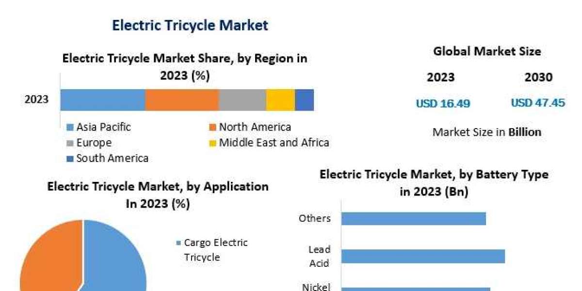 Electric Tricycle Market Growth Opportunities and Forecast Analysis Report By 2030