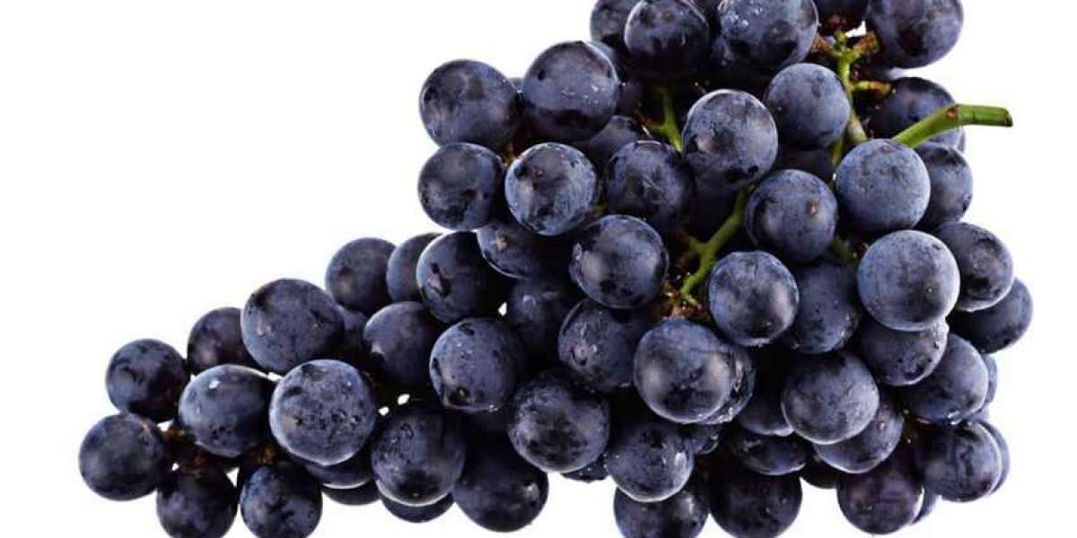 Grape Production Cost Process: A Comprehensive Analysis