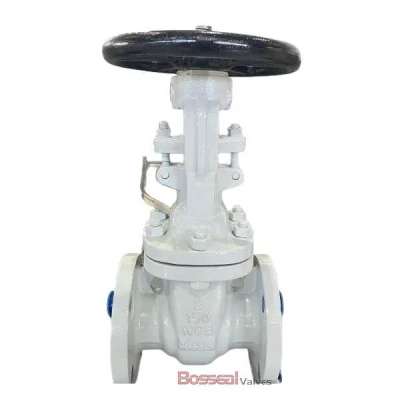 API 600 Gate Valve Profile Picture