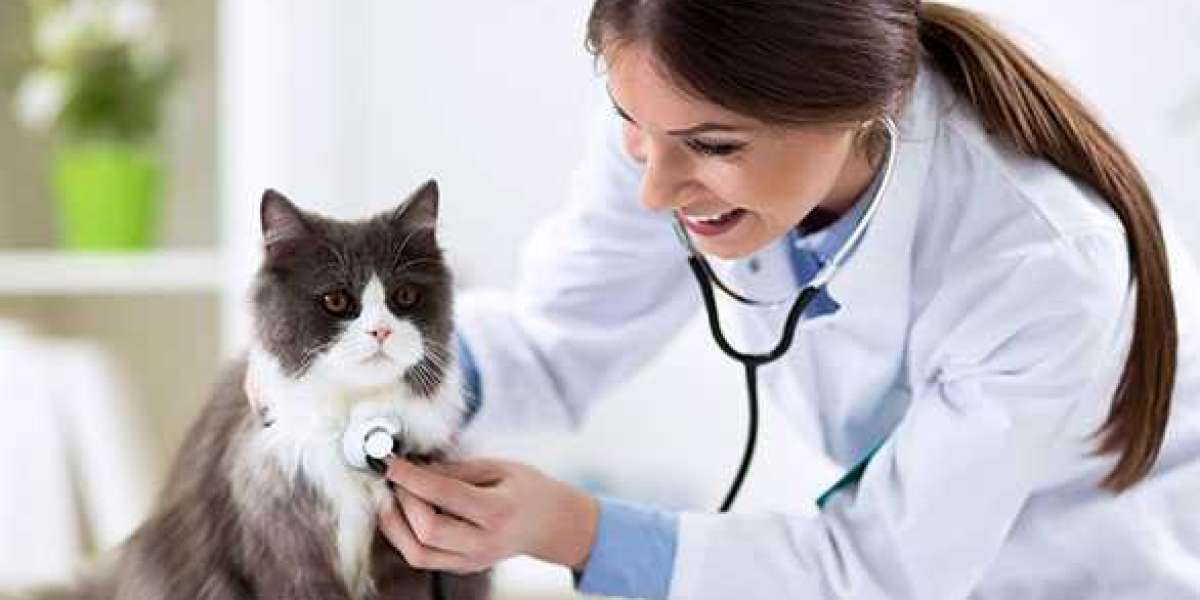 Top Veterinary Pharmaceutical Company India: Zovix Pharmaceuticals