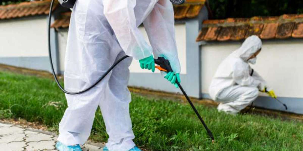 Effective Pest Control and Rodent Control in Montgomery, TX