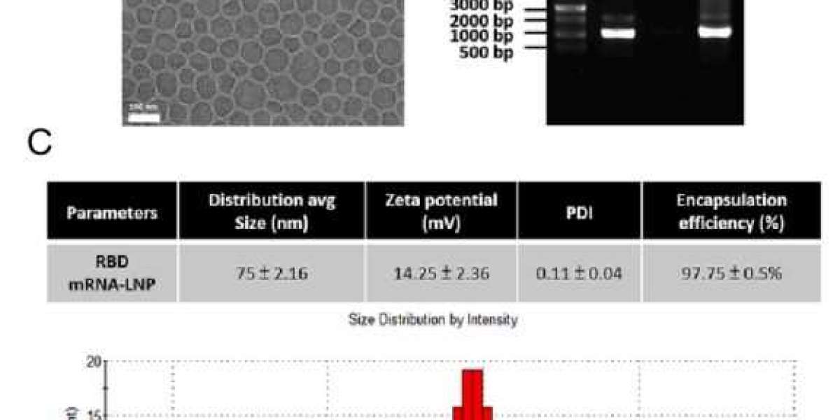 CD Bioparticles Announces Comprehensive Assay Portfolio for mRNA-LNP Vaccine