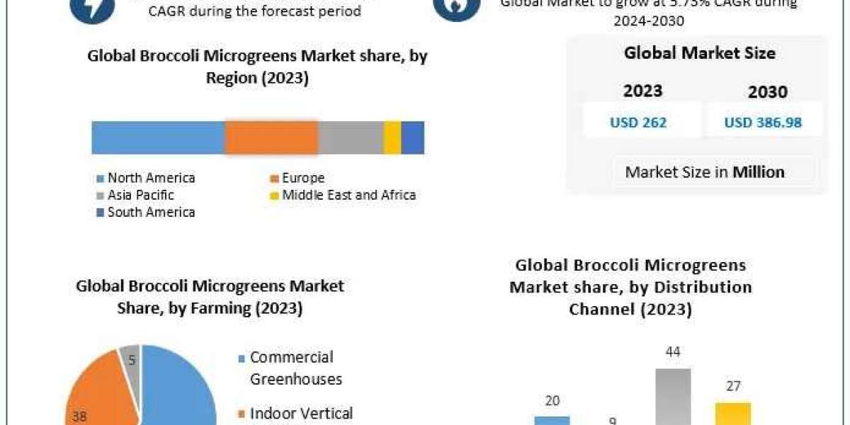 Broccoli Microgreens Market Opportunities 2030 with Growing Awareness of Benefits