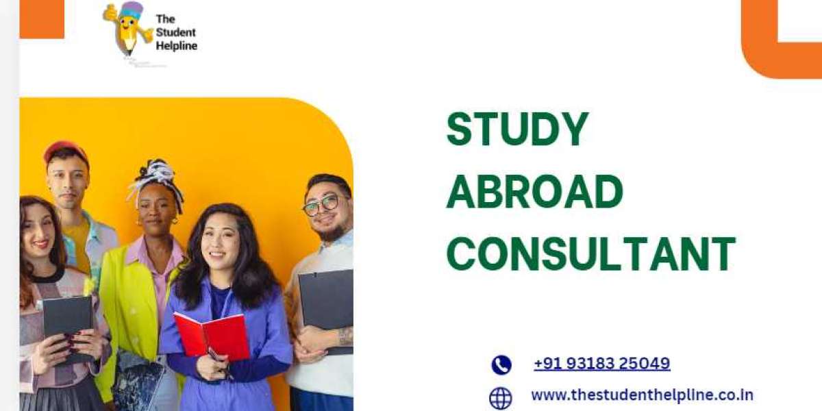 The Ultimate Guide to Choosing the Best Study Abroad Consultant