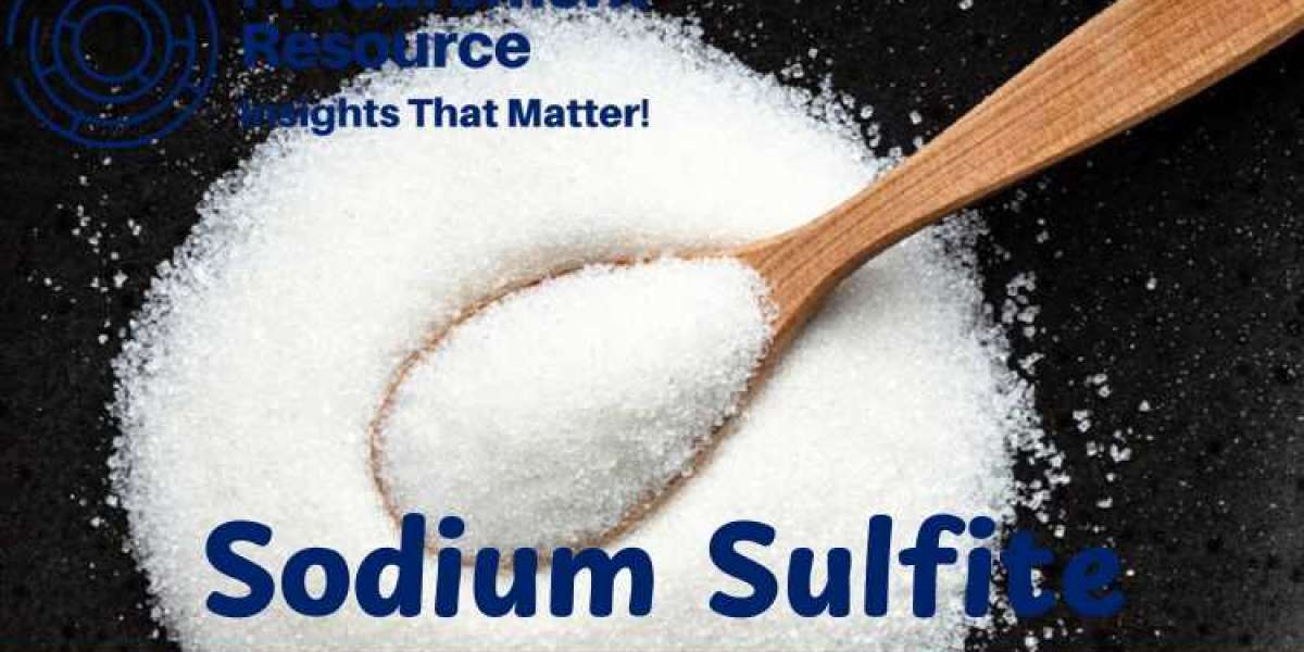 Sodium Sulfite Price Trend - In-Depth Market Analysis and Forecast for Future Insights