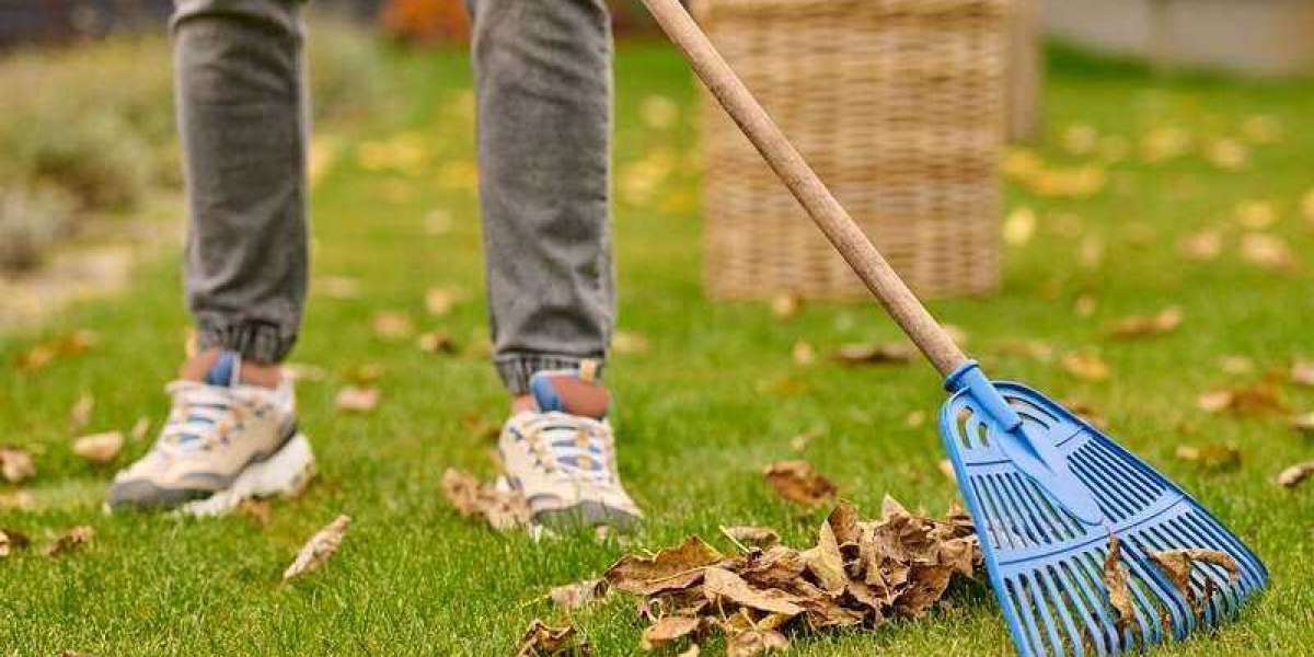 Efficient Lawn Mowing Services in Melbourne: Keeping Your Greens Pristine