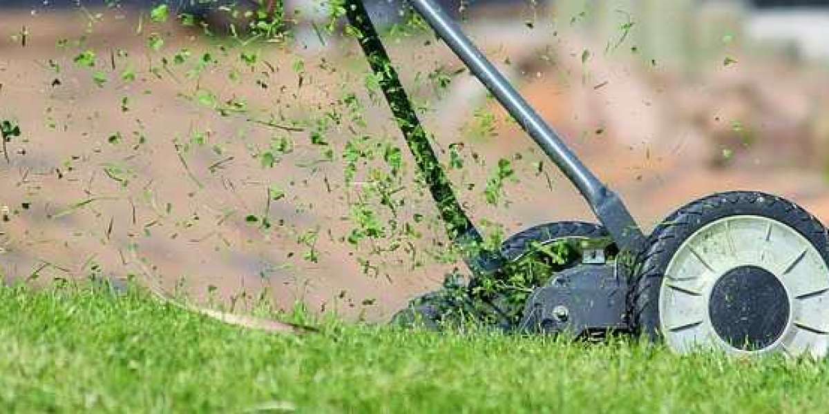 Grass Cutting Oakville