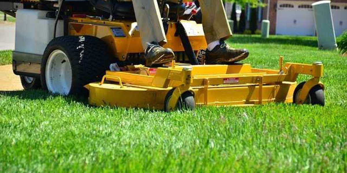 Lawn Care Companies in Mississauga